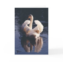 Swan ruffled feathers cards