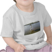 Swan Standing In Water t-shirts by lifesphere Swan Standing In Water t-shirts