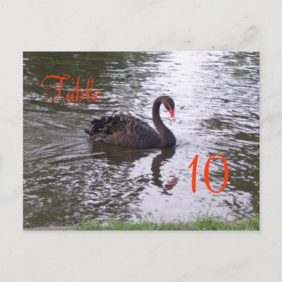Swan Table Number Post Cards