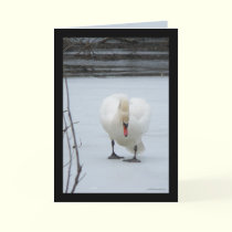 Swan Territory cards by MoiraAshleigh Swan Territory cards