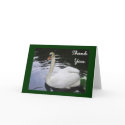 Swan - Thank you card