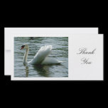 Swan - Thank You photo cards
