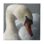 Swan tiles