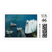 Swan with chicks   Postage stamp
