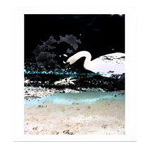 swanlakefresco posters