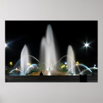 Swann Fountain at Night Print