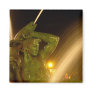 Swann Fountain Nighttime Magnet