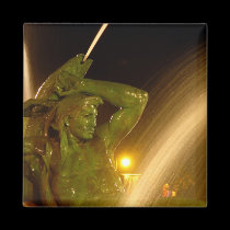 Swann Fountain Nighttime Magnet magnets