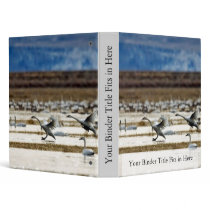 Swans at Klamath Vinyl Binders