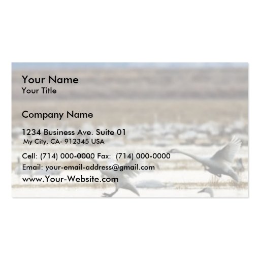 Swans at Klamath Business Card (front side)