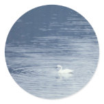 Swans Bird Sticker Swans Bird Sticker