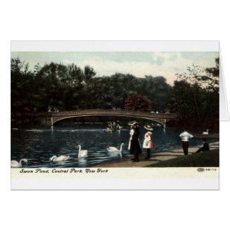 Swans Central Park New York Repro Vintage 1908 card