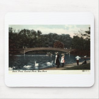 Swans Central Park New York Repro Vintage 1908 mousepad