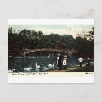 Swans Central Park New York Repro Vintage 1908 postcard