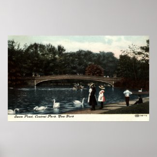 Swans Central Park New York Repro Vintage 1908 print
