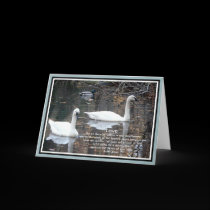 Swans-Fairy Tale-Valentine cards