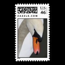 Swan's Head, Closeup postage by alyciakeating Swan's Head, Closeup postage