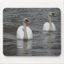 Swans in a pond - Mousepad by alyciakeating Swans in a pond - Mousepad
