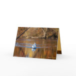 Swans in Autumn Greeting Cards