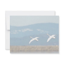 Swans in flight invitations by animalpark Swans in flight invitations