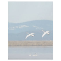 Swans in flight custom letterhead