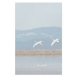 Swans in flight stationery design