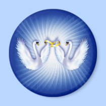 Swans In Love magnets