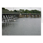Swans in waterscape cards