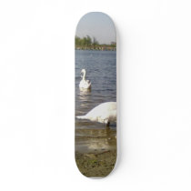 Swans Lake Skateboard