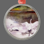 Swans of Hidden Lake Gardens-2 ornaments
