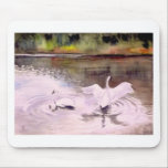 Swans of Hidden Lake Gardens-2 mousepads