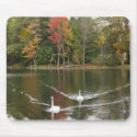 Swans on an Autumn Lake mousepads by patsarts Swans on an Autumn Lake mousepads
