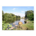 Swans on River Liffey Dublin Ireland posters by irish_gifts Swans on River Liffey Dublin Ireland posters