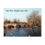 Swans on the Avon River, Stratford-upon-Avon Post Cards
