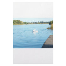 Swans on the River Corrib stationery