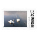 swans postage by icesparkles swans postage