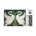 Swans Postage Stamp