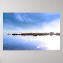 swans swimming on calm fogy waters poster
