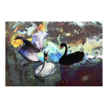Swans Swimming posters