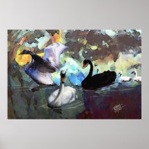 Swans Swimming Print