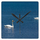 Swans Wallclocks