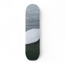 Swans White skateboards by lifesphere Swans White skateboards