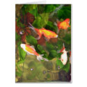 Swarm cards