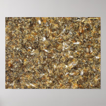 Swarm of honeybees poster