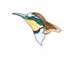 Swarrow Sparrow Shirts