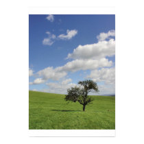 Sway posters