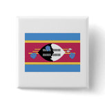 Swaziland Pin