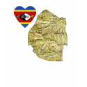 Swaziland Flag Heart and Map T-Shirt