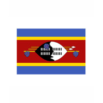 Swaziland FLAG International t-shirts