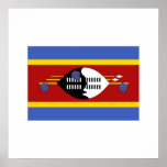 Swaziland Print